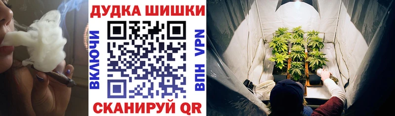 Купить закладку Кокаин  Alpha-PVP  Экстази  Галлюциногенные грибы  Марихуана  ГАШ  МЕФ  Прохладный