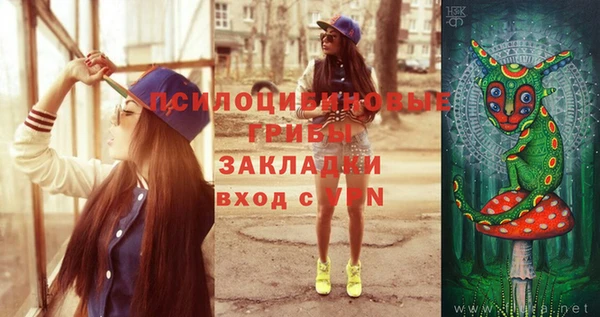 эйфоретик Инта