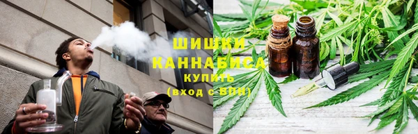 эйфоретик Инта